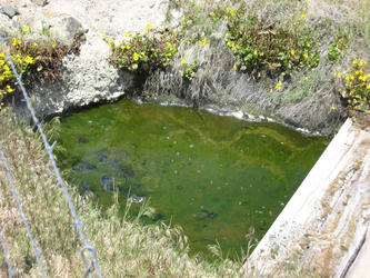 source pool (Dyke)